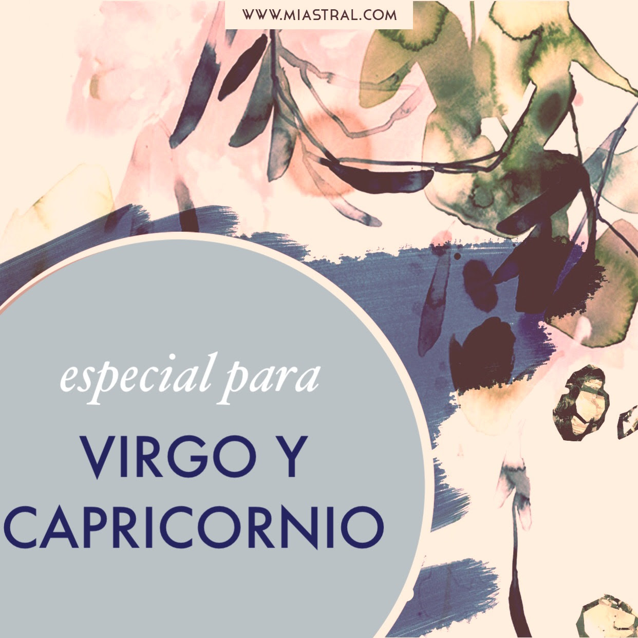 Especial para Virgo y Capricornio - Mia Astral - clases en línea de  Astrología y Coaching