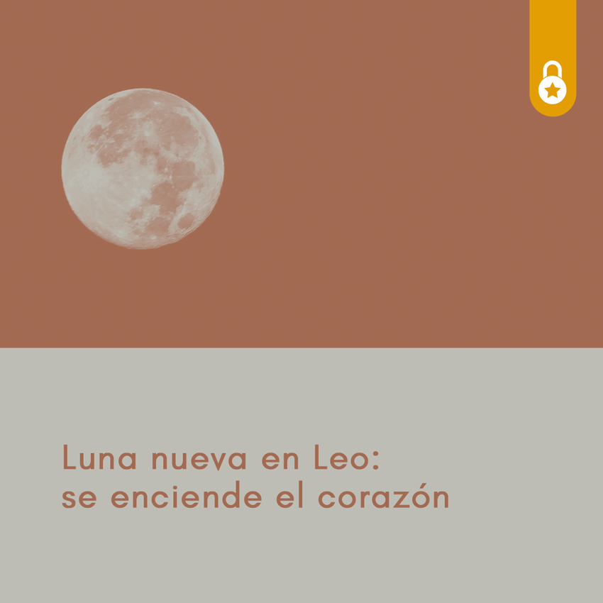 Intro a la Luna Nueva en Leo