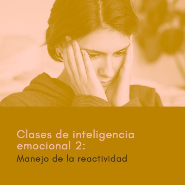 Manejo De La Reactividad Clases De Inteligencia Emocional