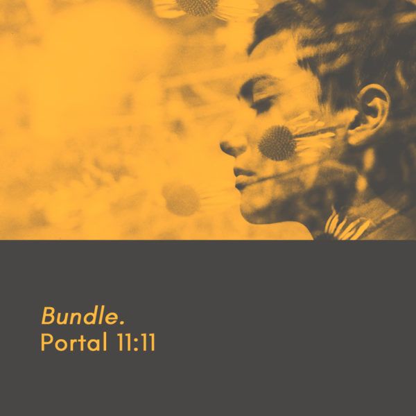 Bundle. Portal 11:11