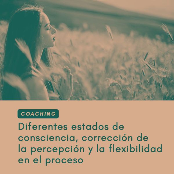 Coaching: diferentes estados de consciencia, corrección de la percepción y la flexibilidad en el proceso