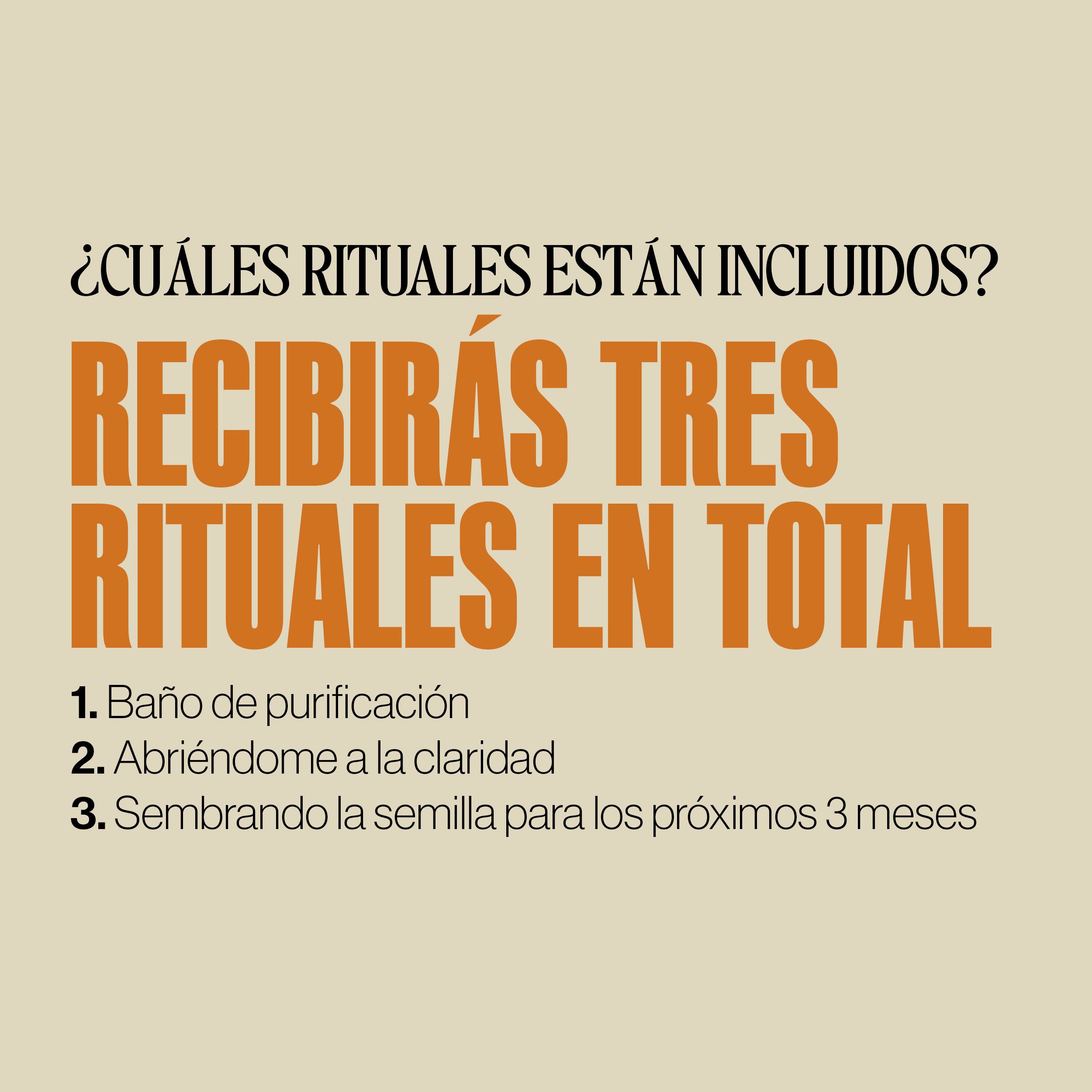 Kit del solsticio Cáncer 2024 - Imagen 5