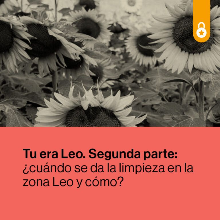 Portada Tu era Leo Segunda Parte