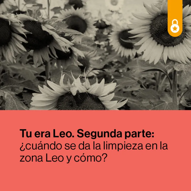 Portada Tu era Leo Segunda Parte